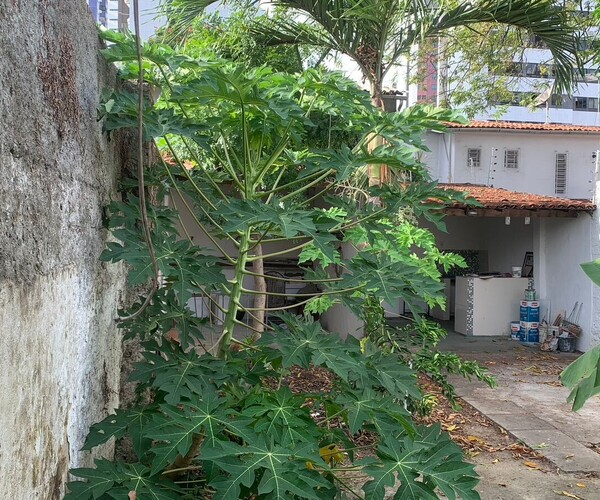 Casa na Madalena - Comercio ou Moradia