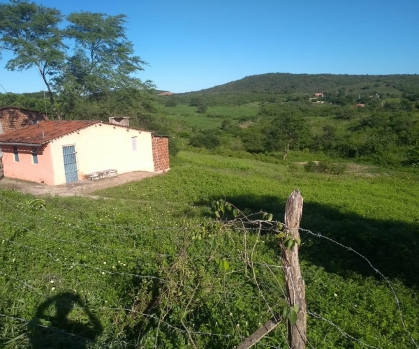 Sitio em Passira com 3600 m² 
